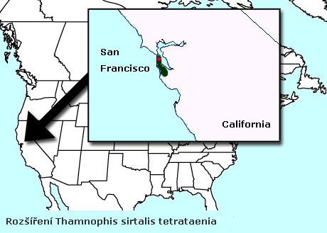 T. s. tetrataenia - mapa výskytu